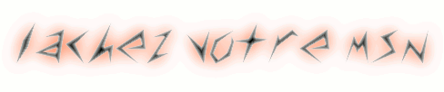 +*^*+(l@cher vOtre comm et vOtre msn)+*^*+